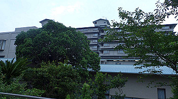 p7270005_thumb.jpg
