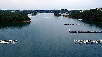 p7270011_thumb.jpg