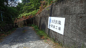 p7280026_thumb.jpg