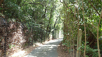 p7280029_thumb.jpg