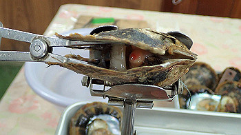p7280074_thumb.jpg