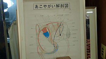 p7280076_thumb.jpg