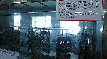 p7280077_thumb.jpg
