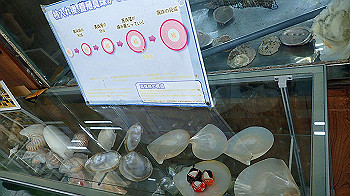 p7280078_thumb.jpg