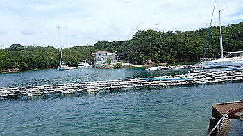 p7280084_thumb.jpg