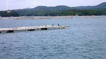 p7280088_thumb.jpg