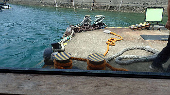 p7280090_thumb.jpg