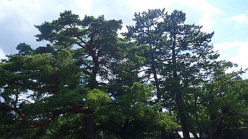 p7280110_thumb.jpg