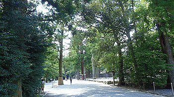 p7280114_thumb.jpg