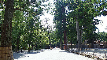 p7280116_thumb.jpg