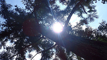 p7280117_thumb.jpg
