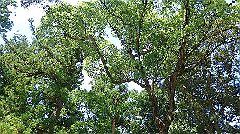 p7280118_thumb.jpg