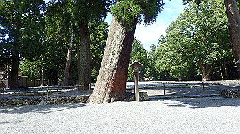 p7280120_thumb.jpg
