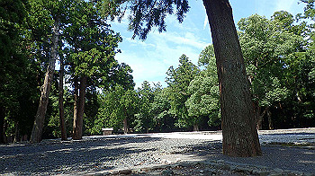 p7280121_thumb.jpg