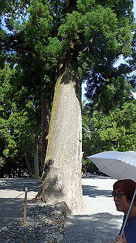 p7280122_thumb.jpg