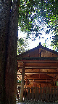 p7280132_thumb.jpg