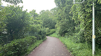 20210819_092444399_ios_thumb.jpg