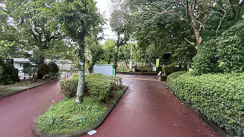 20210819_092530001_ios_thumb.jpg