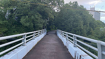 20210819_093112499_ios_thumb.jpg