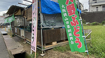 20210821_002620229_ios_thumb.jpg