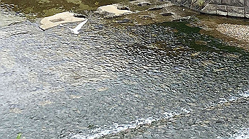 20210824_233823723_ios_thumb.jpg