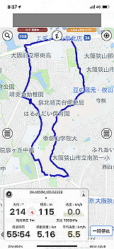 20210826_233740000_ios_thumb.jpg