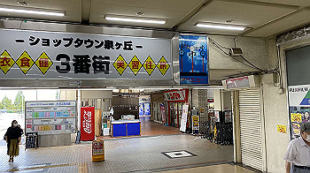 20210829_231229386_ios_thumb.jpg