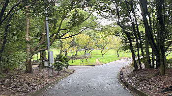 20210902_230430845_ios_thumb.jpg