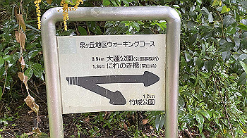 20210902_232604816_ios_thumb.jpg