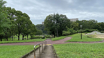 20210902_233040701_ios_thumb.jpg