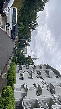 20210902_234524035_ios_thumb.jpg