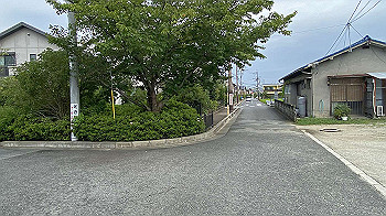 20210903_235008997_ios_thumb.jpg