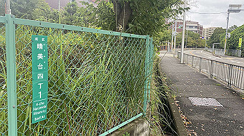 20210904_004244901_ios_thumb.jpg
