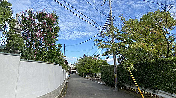 20210905_234449826_ios_thumb.jpg