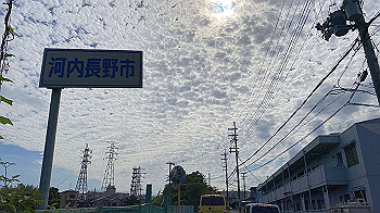20210905_235509187_ios_thumb.jpg