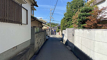 20210906_233311388_ios_thumb.jpg