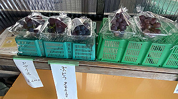 20210909_080837503_ios_thumb.jpg