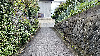 20210913_000557109_ios_thumb.jpg