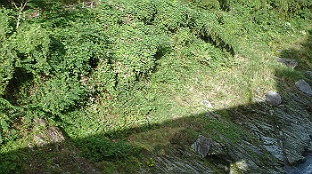p9200158_thumb.jpg