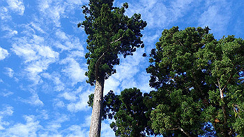 p9200206_thumb.jpg