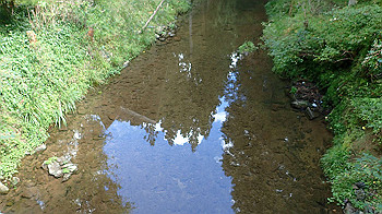 p9200228_thumb.jpg