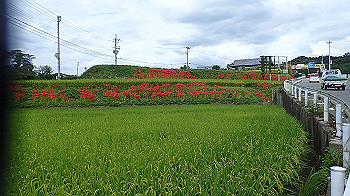 p9200269_thumb.jpg