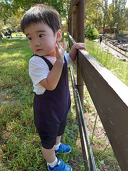 dsc_4434_thumb.jpg