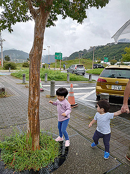 dsc_4506_thumb.jpg