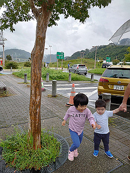 dsc_4507_thumb.jpg
