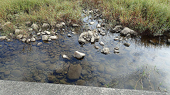 p9290315_thumb.jpg