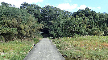 p9290316_thumb.jpg