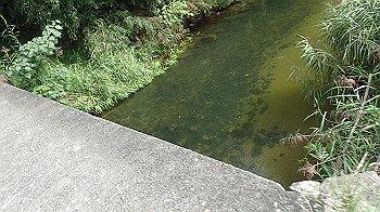p9290317_thumb.jpg