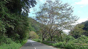 p9290343_thumb.jpg