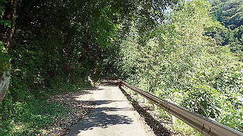 p9290349_thumb.jpg